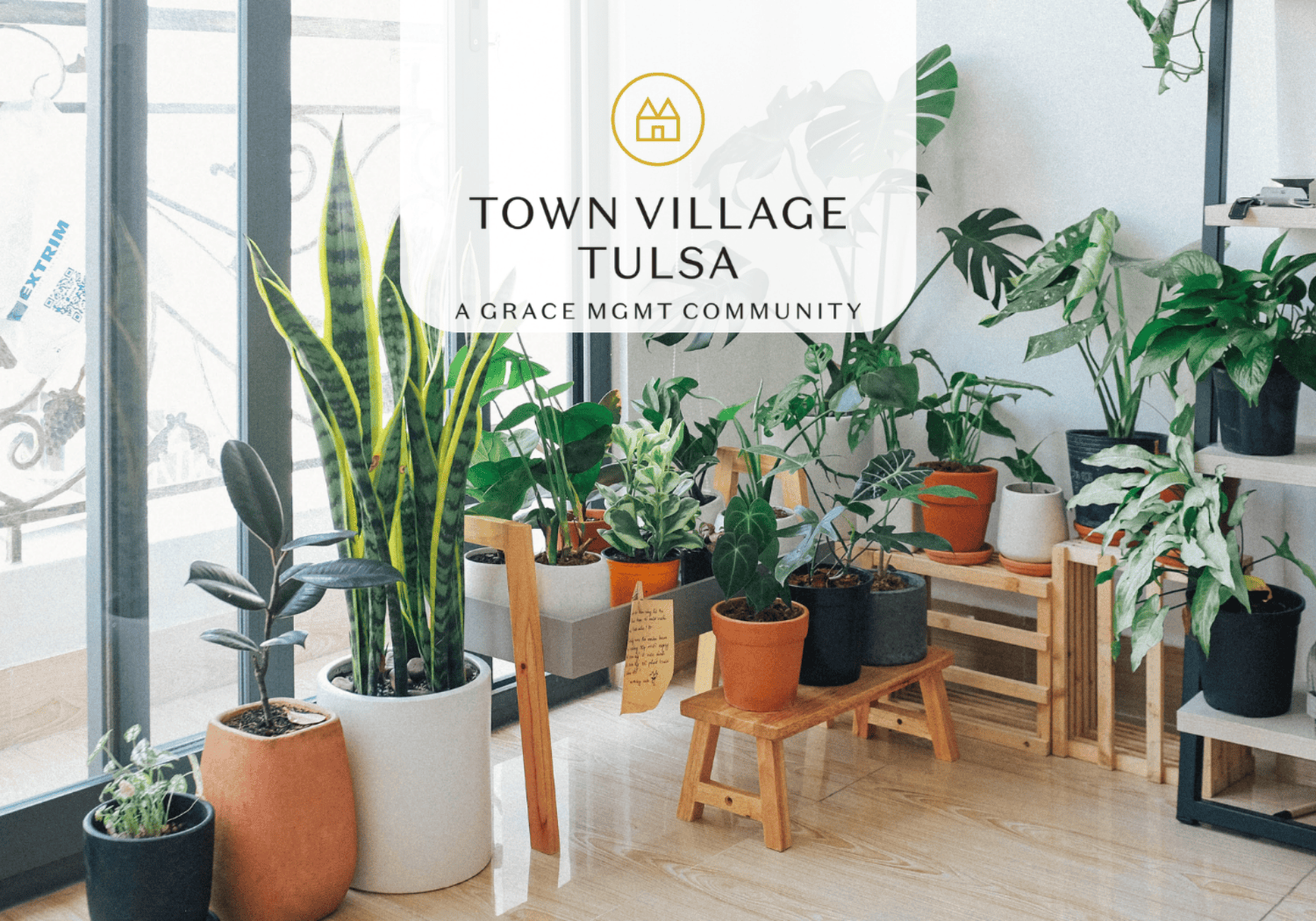 TVT -Palomas plants - Town Village Tulsa