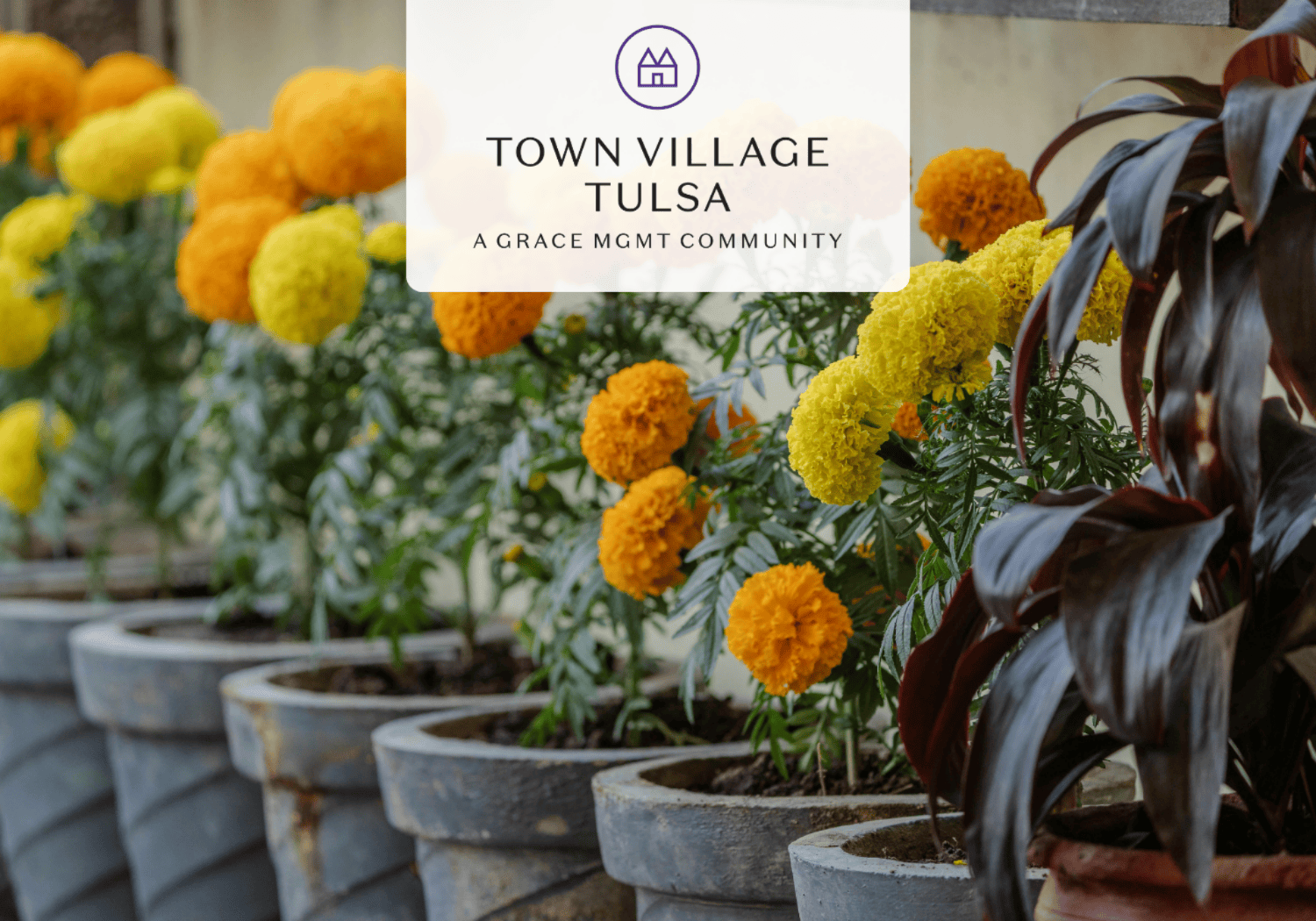 Hero banner with orange and yellow marigolds in lined pots and a white overlay bearing Town Village Tulsa logo and 'A Grace Mgmt Community' text